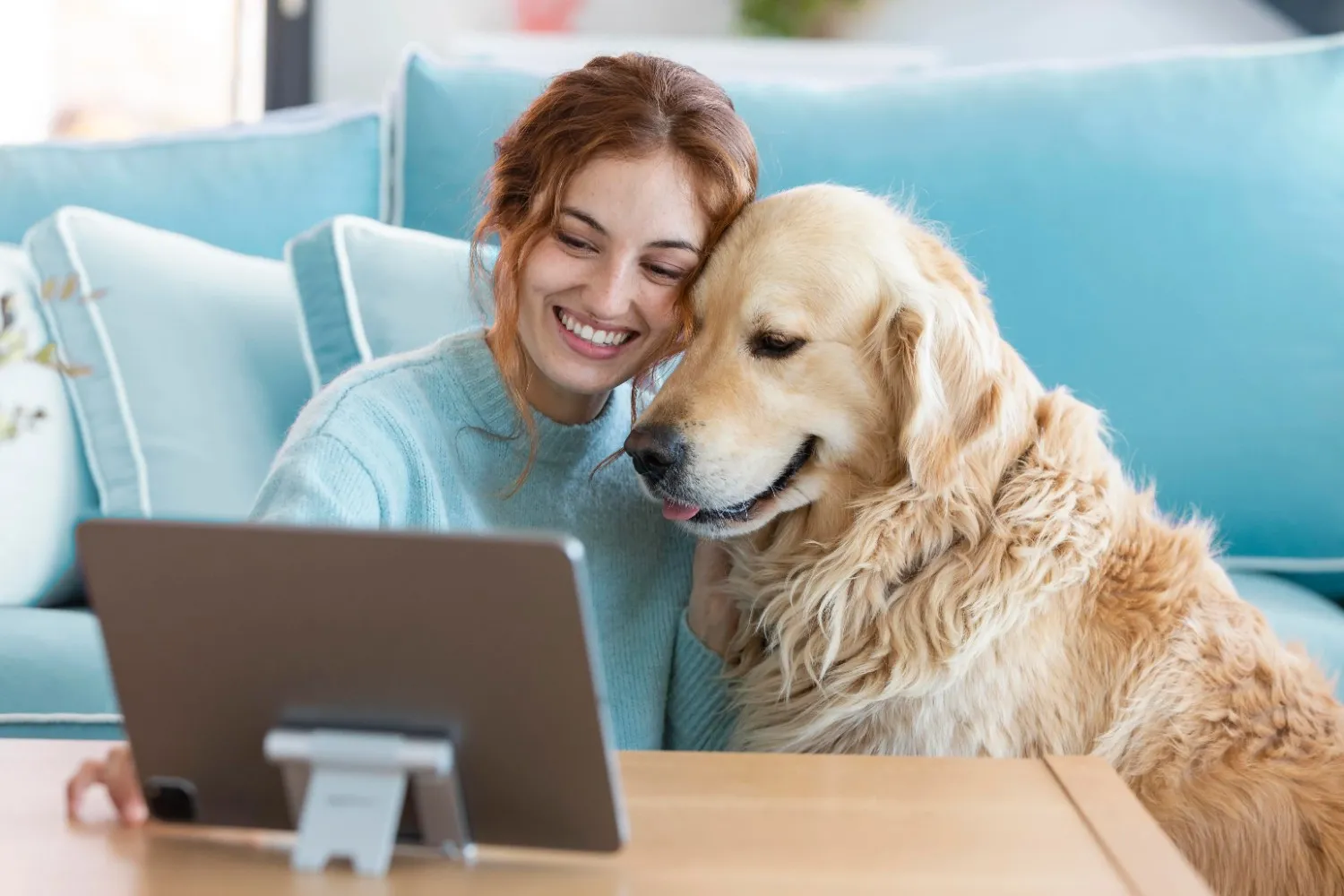 Pet Insurance In Houston