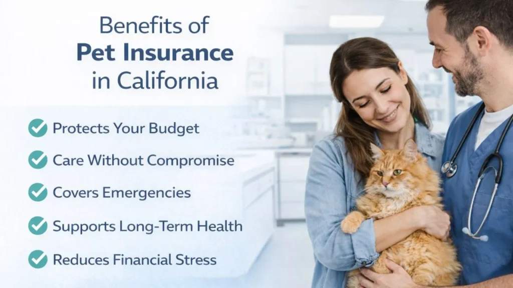 Benefits of Pet Insurance in California