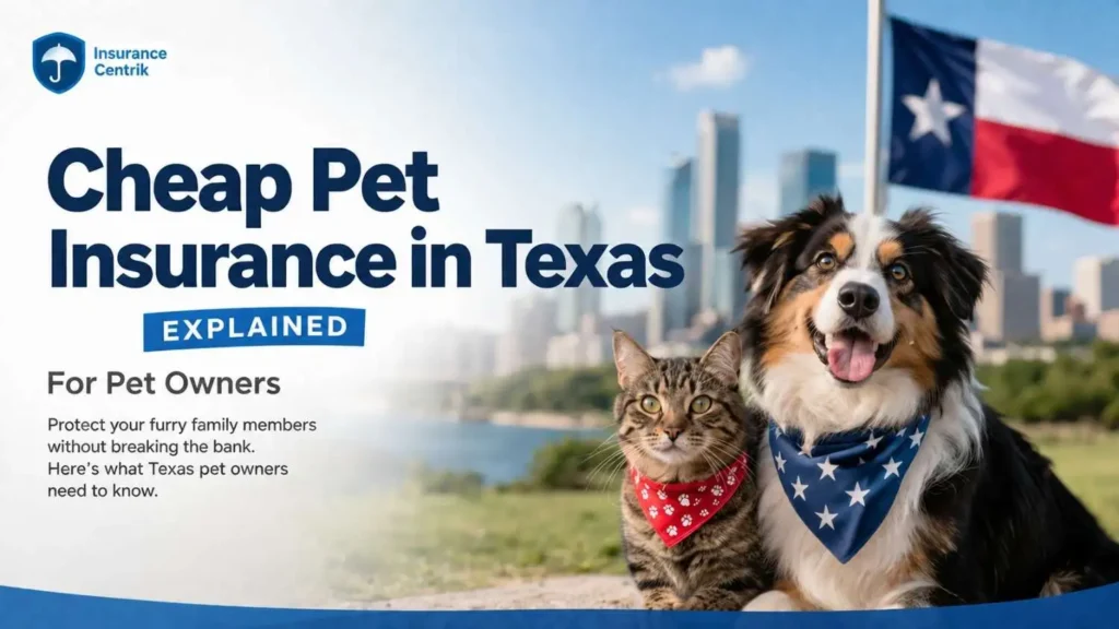 Cheap Pet Insurance in Texas