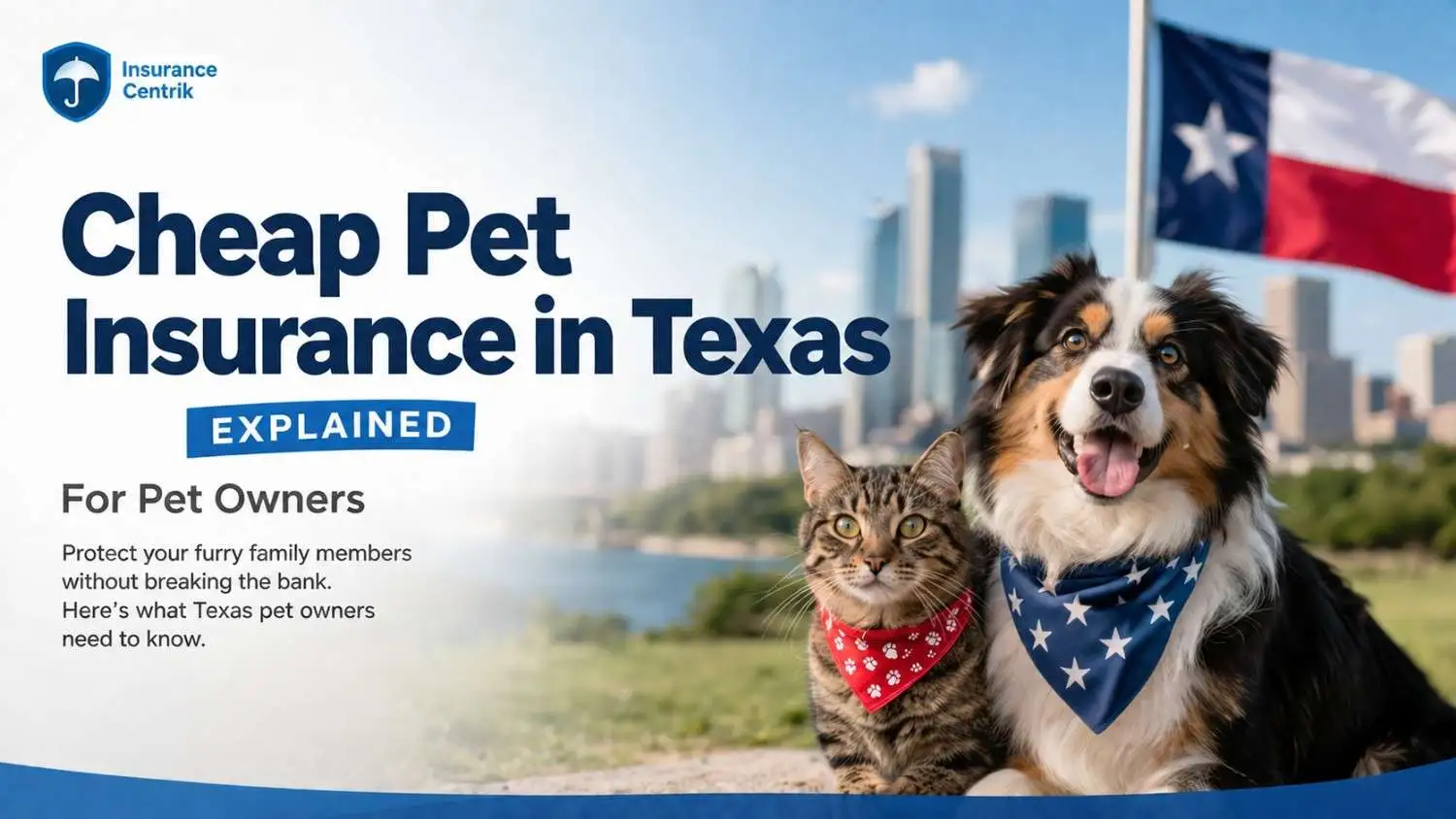 Cheap Pet Insurance in Texas